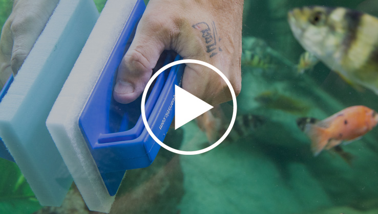 Jöst Aquarium Reinigungspad Superclean für Catfish Halter