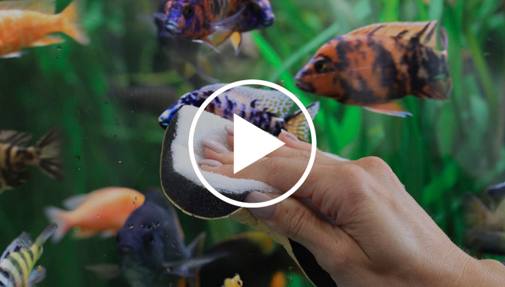 Jöst Aquarium Reinigungsschwamm Clean & Dry